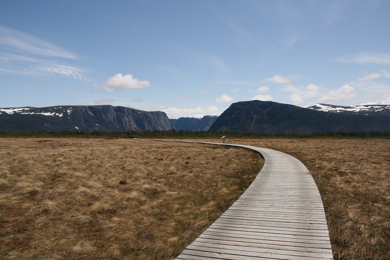 Newfoundland