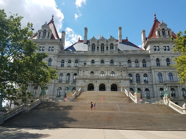 New York state legislature