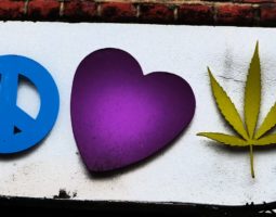 Peace Love Cannabis