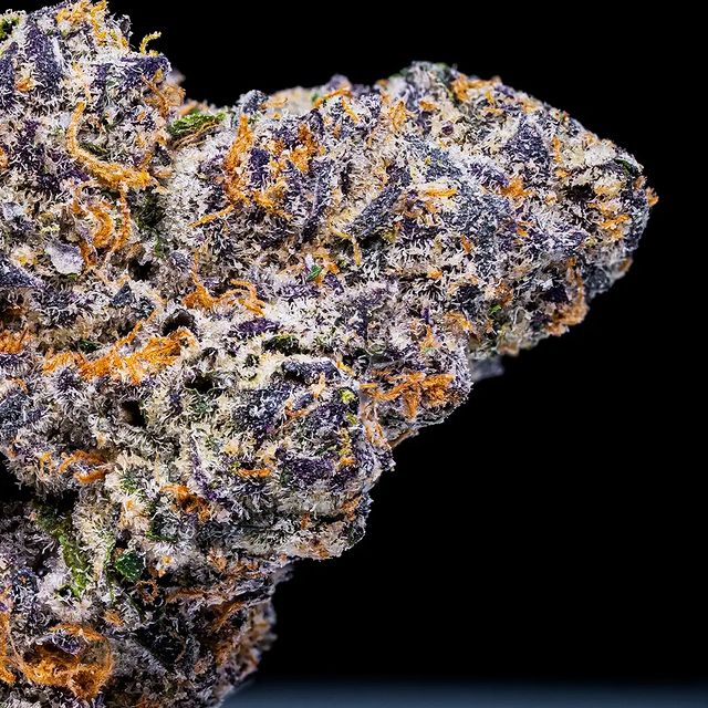 sweet retreat by doja exclusive strain review by thebudstudio
